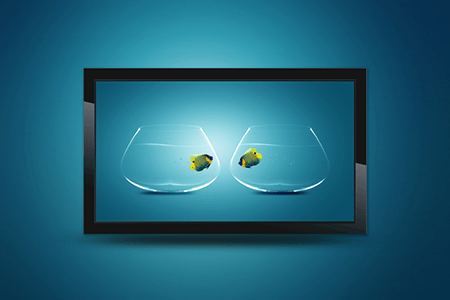 Two glass bowls featuring vibrant yellow and black fish against a blue background, illustrating aquatic life for educational or decorative purposes.
